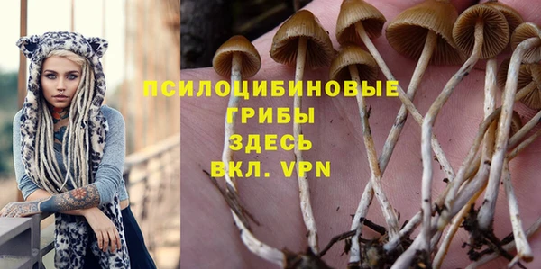PSILOCYBIN Алексин