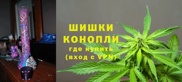винт Алзамай