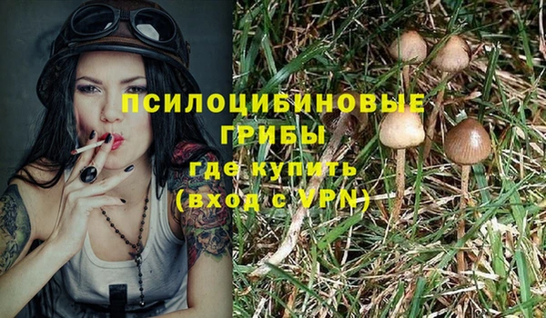 винт Алзамай