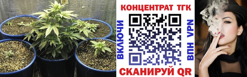Купить закладки  Верея  Дистиллят ТГК Wax 