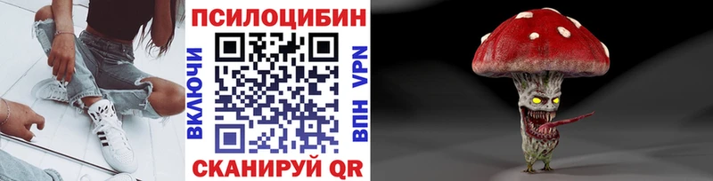 Псилоцибиновые грибы мицелий  Купить  Верея 